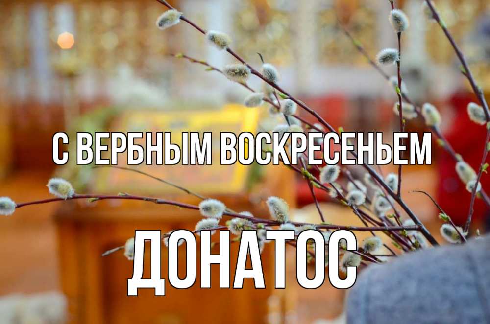 Открытка на каждый день с именем, Донатос С вербным воскресеньем верба Прикольная открытка с пожеланием онлайн скачать бесплатно 