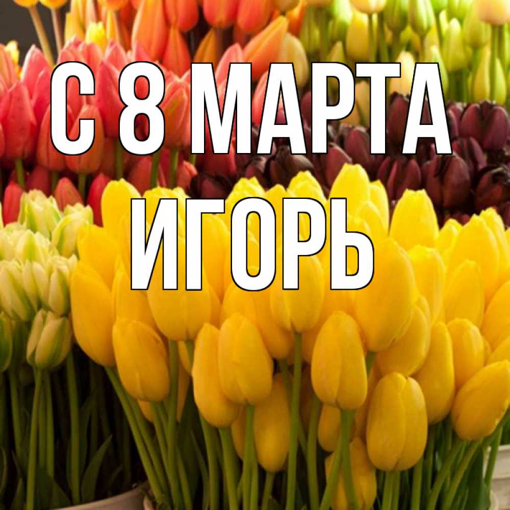 Открытка на каждый день с именем, Игорь С 8 МАРТА цветы Прикольная открытка с пожеланием онлайн скачать бесплатно 