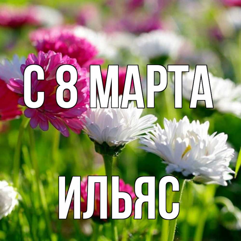 Открытка на каждый день с именем, Ильяс С 8 МАРТА международный женский день 1 Прикольная открытка с пожеланием онлайн скачать бесплатно 