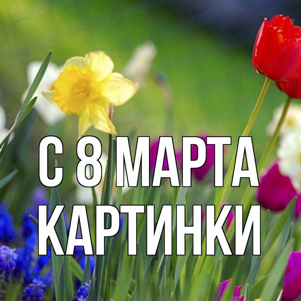 Открытка на каждый день с именем, Картинки С 8 МАРТА международный женский день 3 Прикольная открытка с пожеланием онлайн скачать бесплатно 