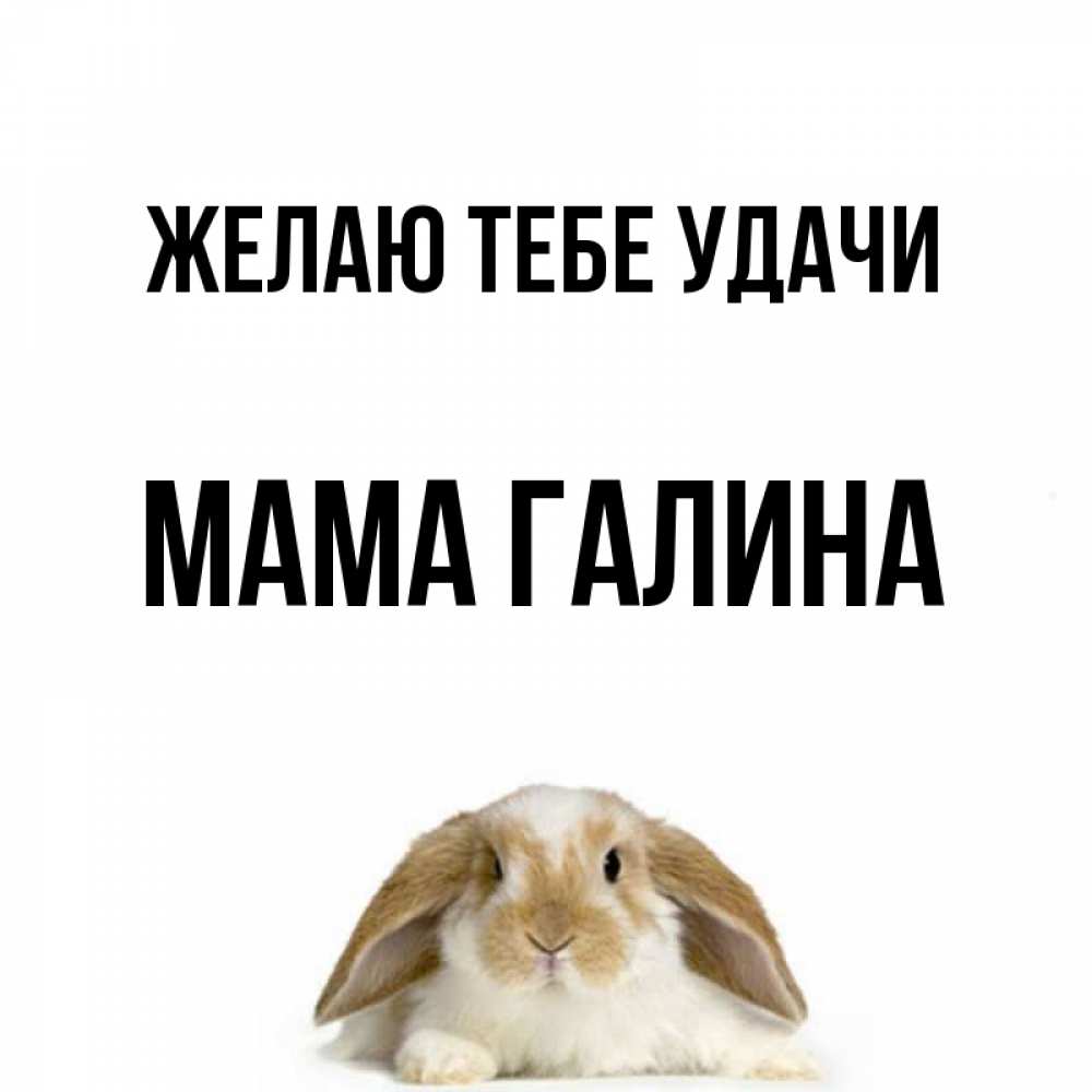 Открытка на каждый день с именем, Мама-Галина Желаю тебе удачи открытки с произвольным текстом который можно вставить в открытку и создать ее самостоятельно бесплатно онлайн Прикольная открытка с пожеланием онлайн скачать бесплатно 