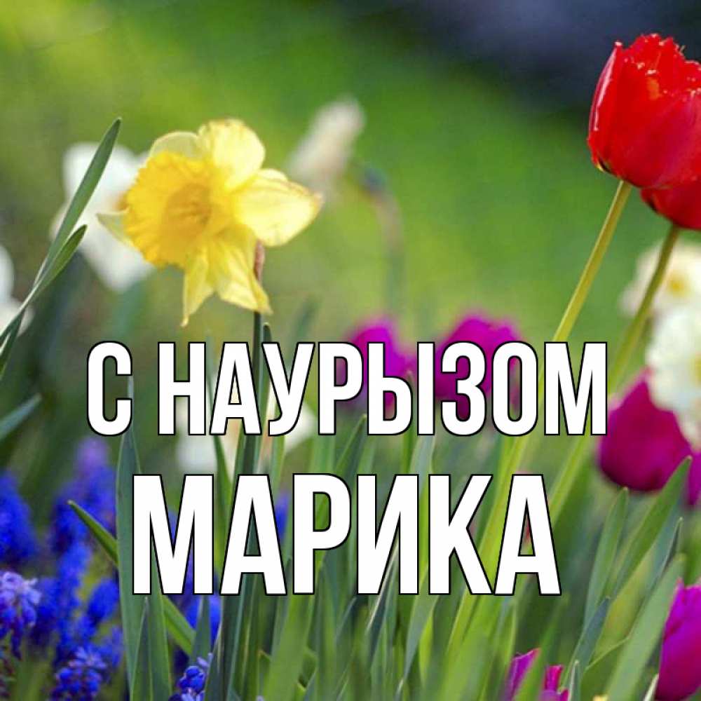 Открытка на каждый день с именем, Марика С наурызом праздник весны наурыз 3 Прикольная открытка с пожеланием онлайн скачать бесплатно 
