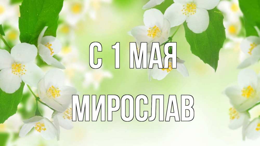 Открытка на каждый день с именем, Мирослав С 1 мая С 1 мая Прикольная открытка с пожеланием онлайн скачать бесплатно 