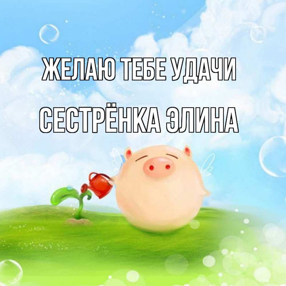 Открытка на каждый день с именем, Сестрёнка-Элина Желаю тебе удачи поросенок поливает цветок. летнее настроение Прикольная открытка с пожеланием онлайн скачать бесплатно 