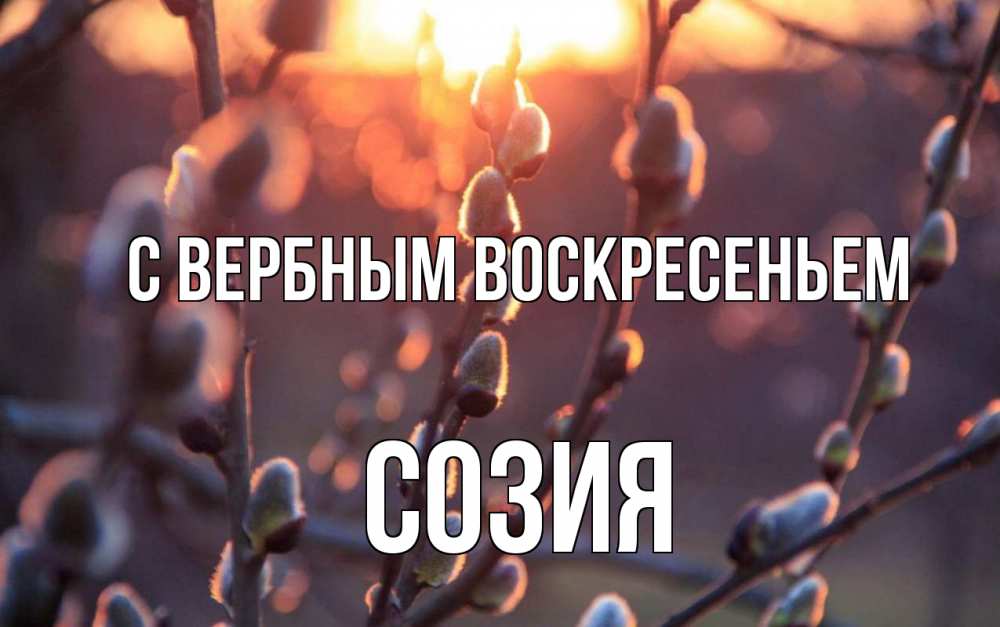 Открытка на каждый день с именем, Созия С вербным воскресеньем верба Прикольная открытка с пожеланием онлайн скачать бесплатно 