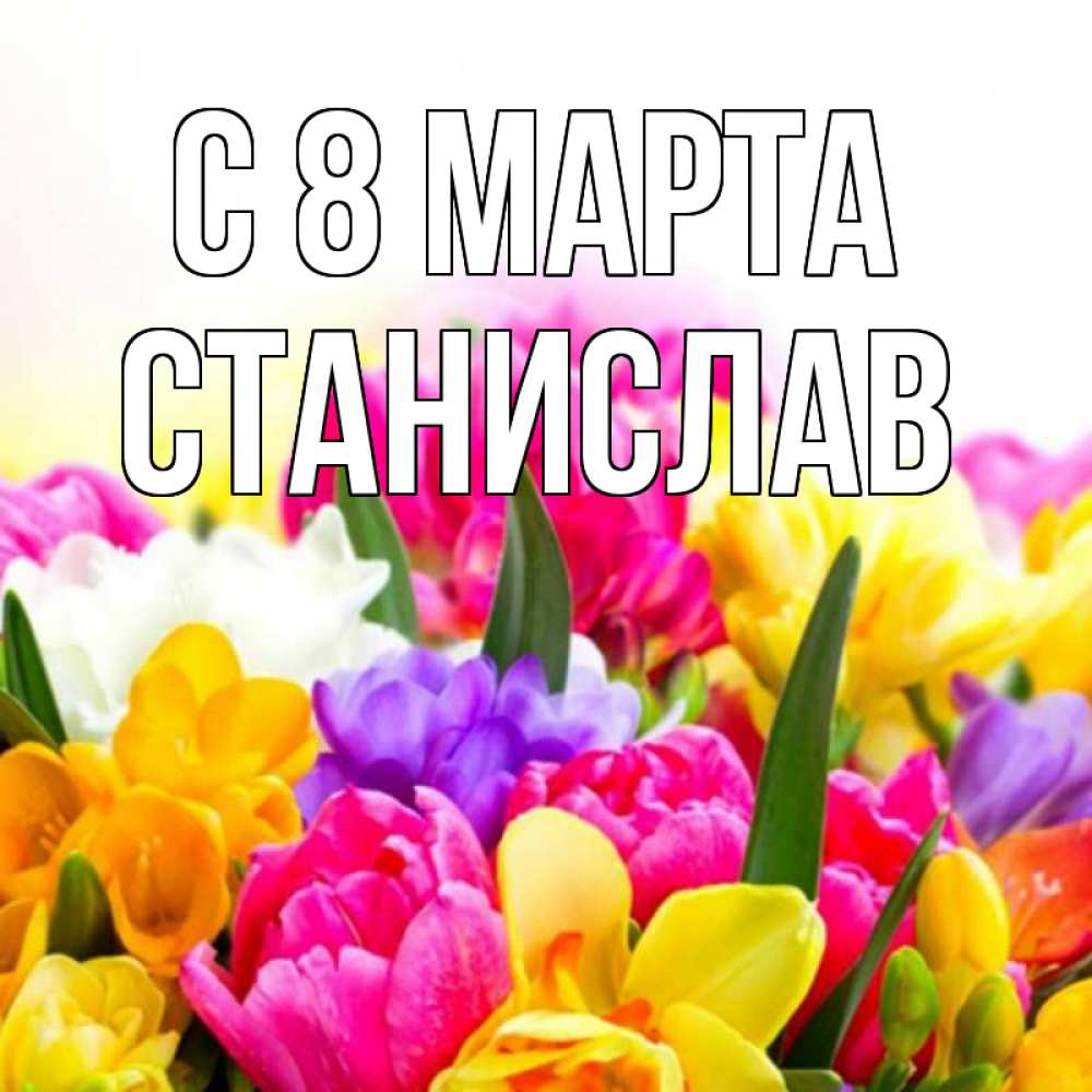 Открытка на каждый день с именем, Станислав С 8 МАРТА тюльпаны Прикольная открытка с пожеланием онлайн скачать бесплатно 