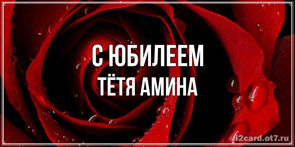 Открытка на каждый день с именем, Тётя-Амина С юбилеем крупная бордовая роза Прикольная открытка с пожеланием онлайн скачать бесплатно 