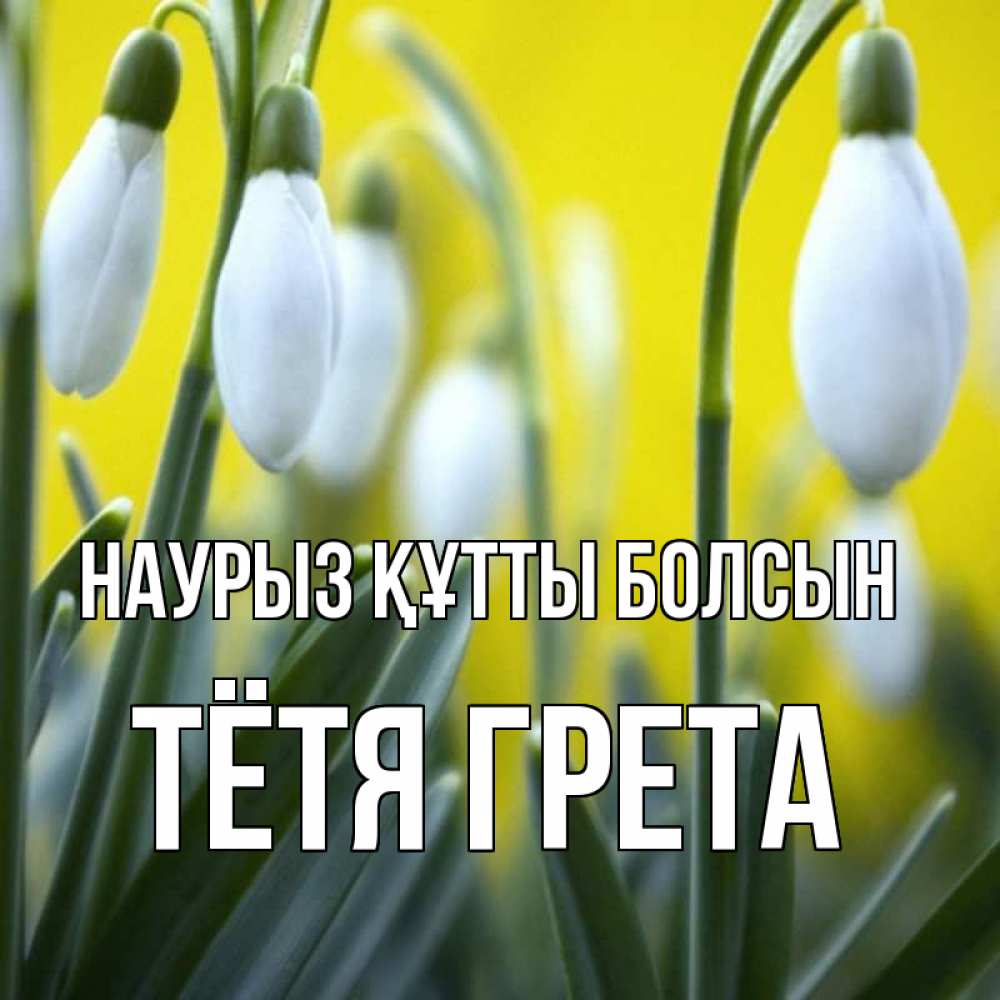 Открытка на каждый день с именем, Тётя-Грета Наурыз құтты болсын весенние цветы Прикольная открытка с пожеланием онлайн скачать бесплатно 