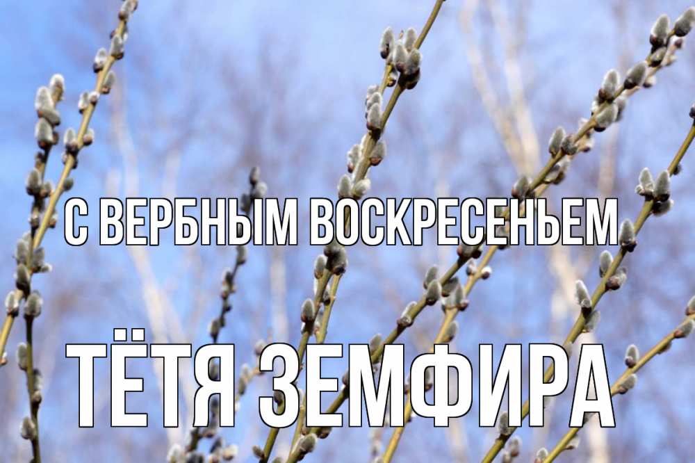 Открытка на каждый день с именем, Тётя-Земфира С вербным воскресеньем верба Прикольная открытка с пожеланием онлайн скачать бесплатно 