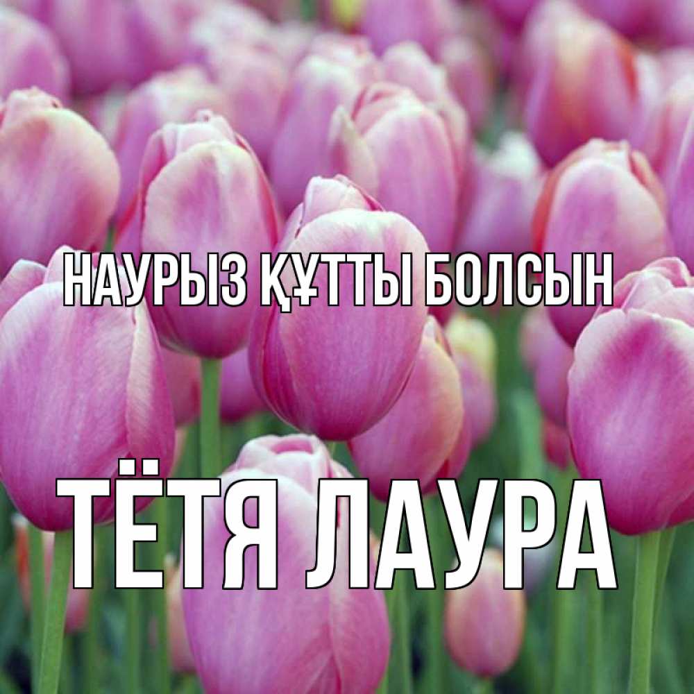 Открытка на каждый день с именем, Тётя-Лаура Наурыз құтты болсын на наурыз  день 3 Прикольная открытка с пожеланием онлайн скачать бесплатно 