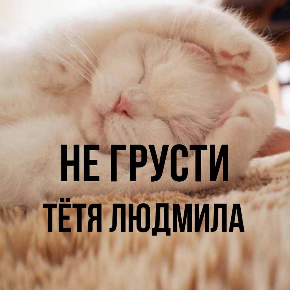 Открытка на каждый день с именем, Тётя-Людмила Не грусти Котенок спит Прикольная открытка с пожеланием онлайн скачать бесплатно 