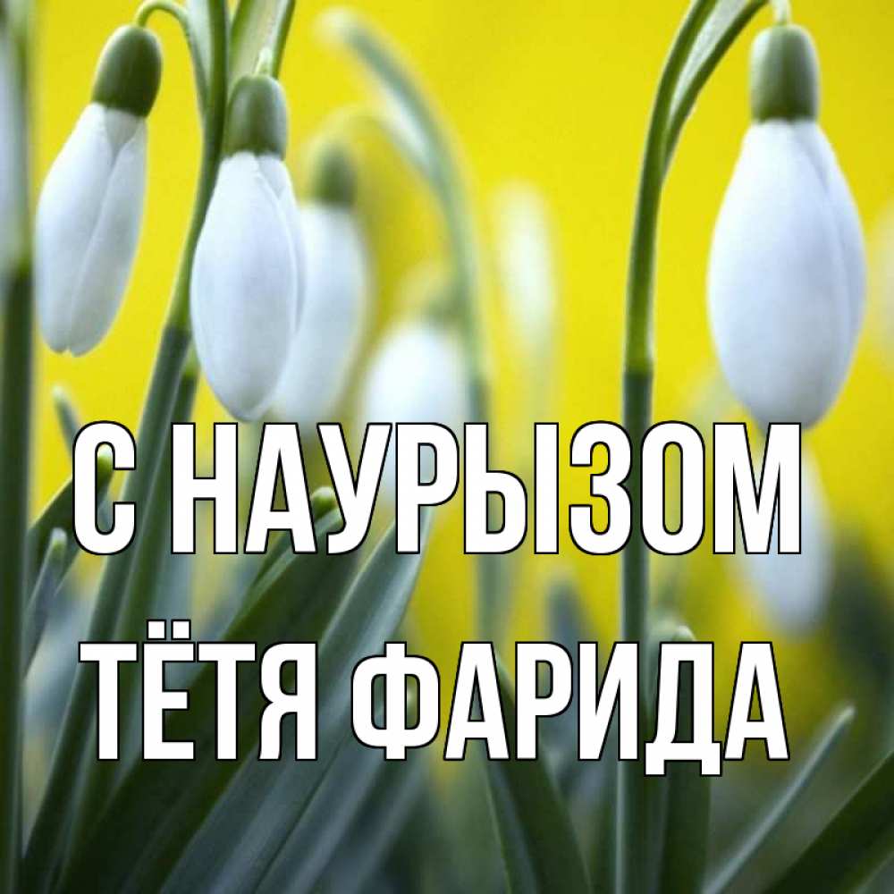 Открытка на каждый день с именем, Тётя-Фарида С наурызом весенние цветы Прикольная открытка с пожеланием онлайн скачать бесплатно 