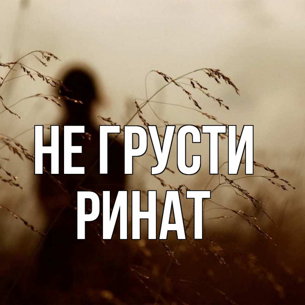 Открытка на каждый день с именем, Ринат Не грусти грусть Прикольная открытка с пожеланием онлайн скачать бесплатно 