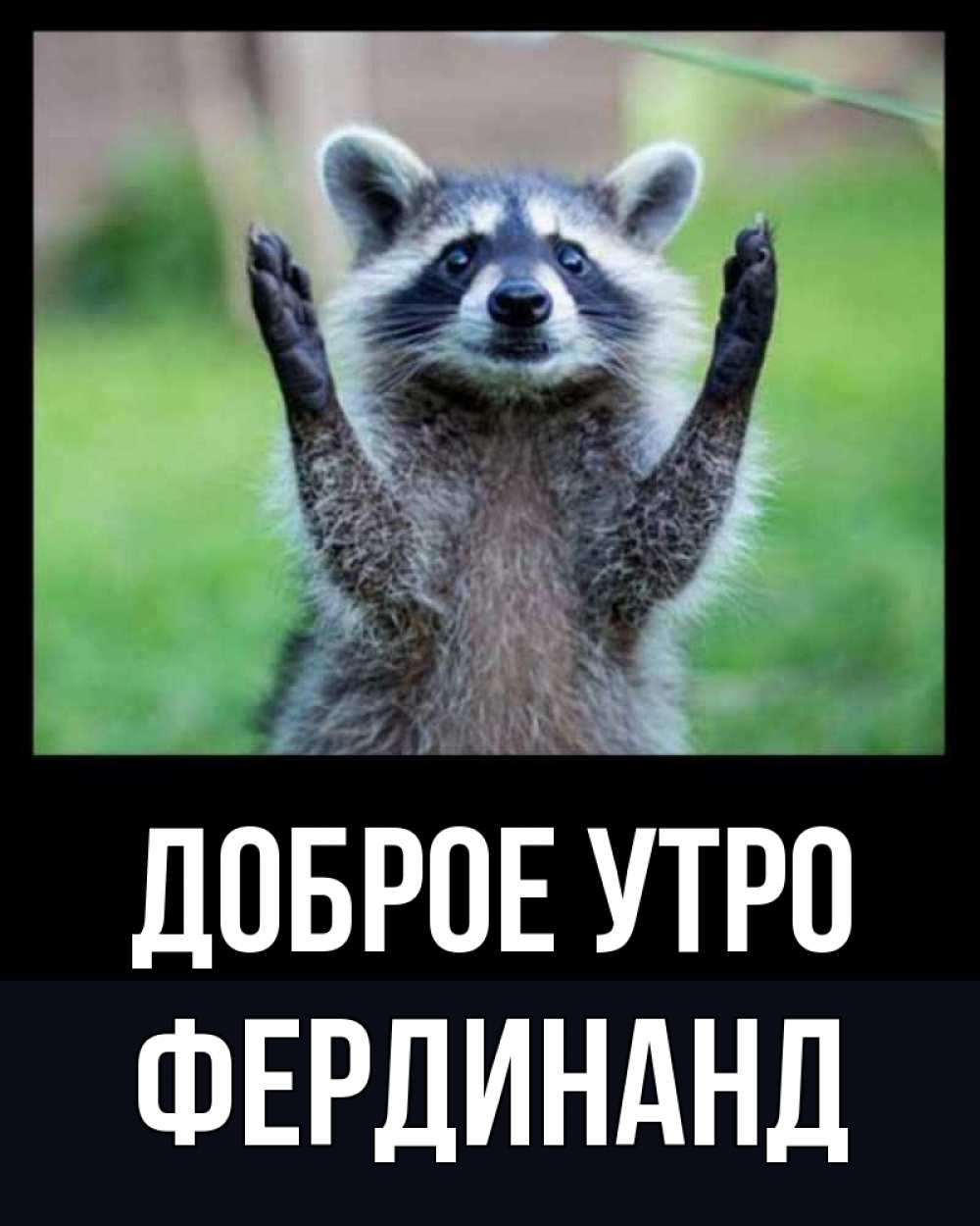 Открытка на каждый день с именем, Фердинанд Доброе утро хорошее настроение утречком Прикольная открытка с пожеланием онлайн скачать бесплатно 