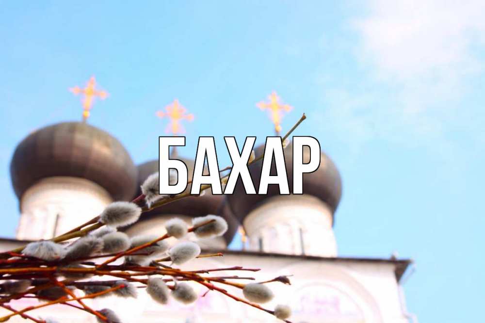 Открытка на каждый день с именем, Бахар Главная верба Прикольная открытка с пожеланием онлайн скачать бесплатно 