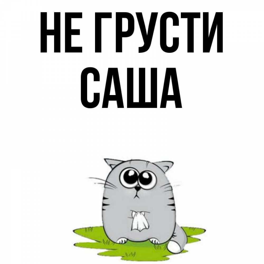 Скучаю не грусти картинки прикольные, смешной стрижкой