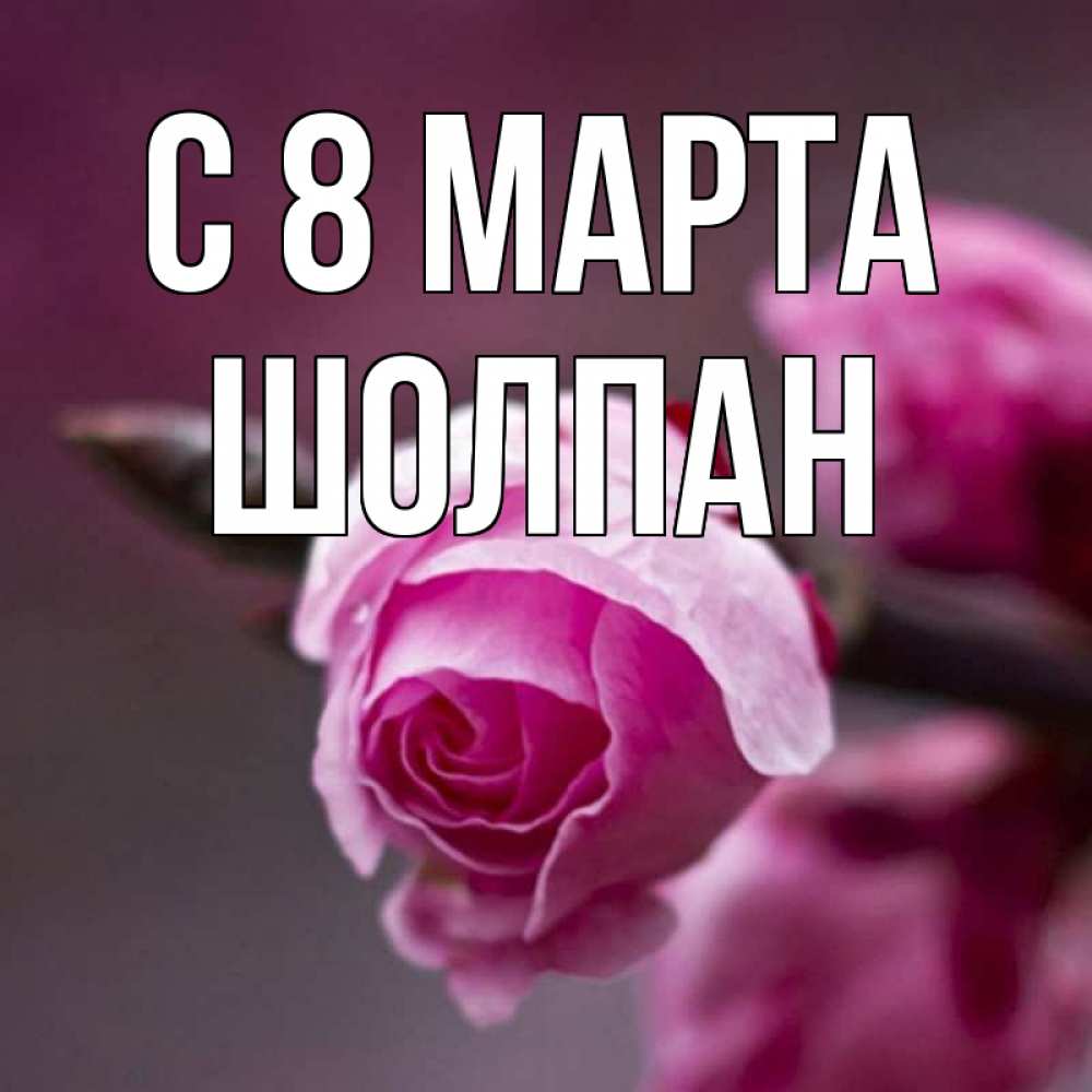 Открытка на каждый день с именем, Шолпан С 8 МАРТА весна Прикольная открытка с пожеланием онлайн скачать бесплатно 