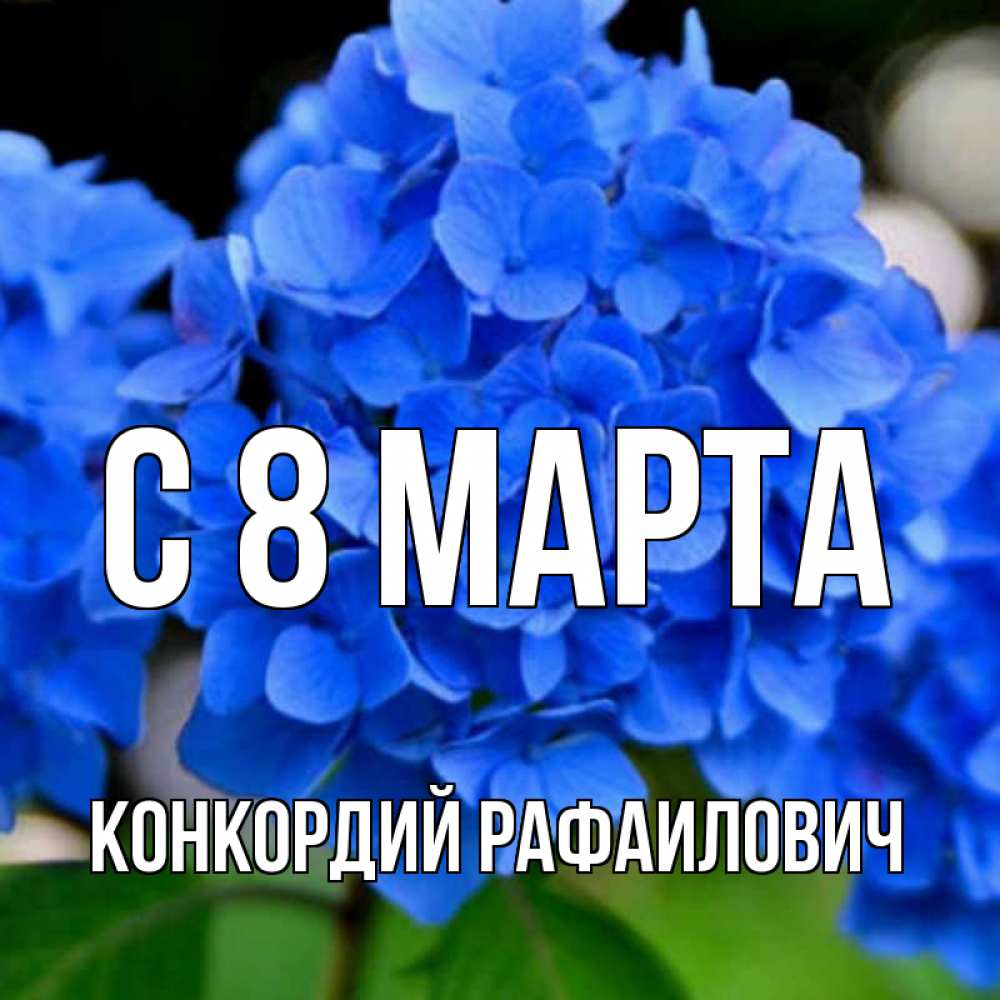 Картинка С 8 МАРТА, Конкордий Рафаилович