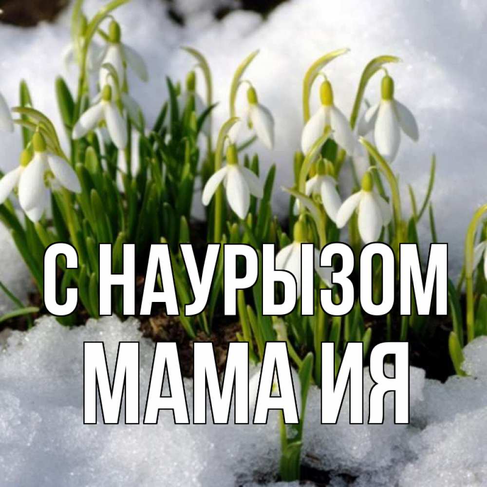Открытка на каждый день с именем, Мама-Ия С наурызом цветы весенние Прикольная открытка с пожеланием онлайн скачать бесплатно 