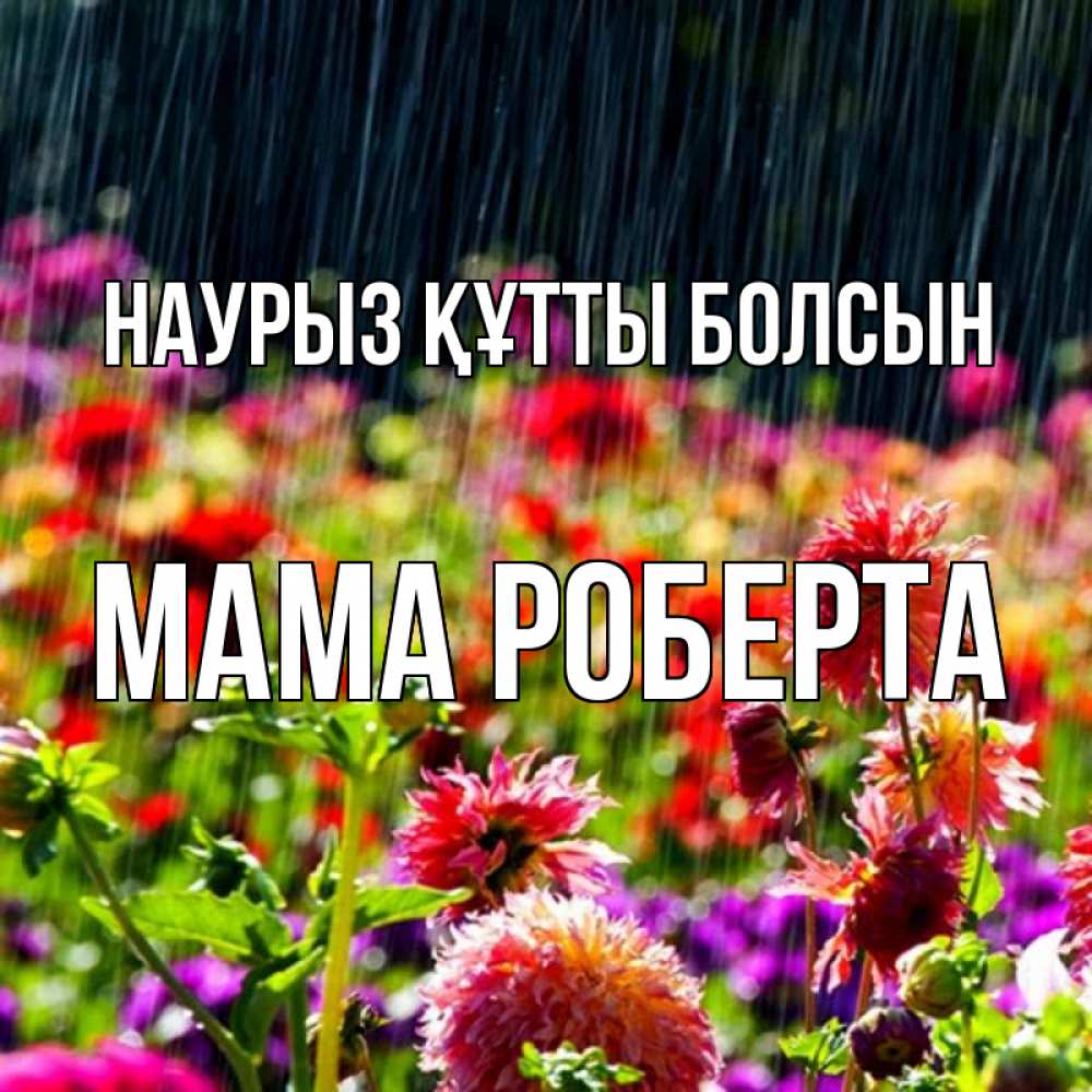 Открытка на каждый день с именем, Мама-Роберта Наурыз құтты болсын цветы под дождиком к наурызу Прикольная открытка с пожеланием онлайн скачать бесплатно 
