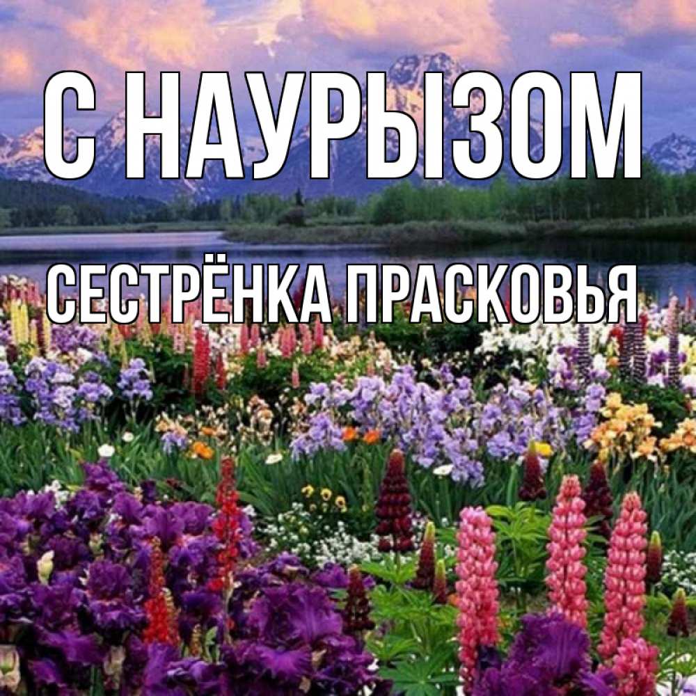 Открытка на каждый день с именем, Сестрёнка-Прасковья С наурызом праздник весны наурыз Прикольная открытка с пожеланием онлайн скачать бесплатно 