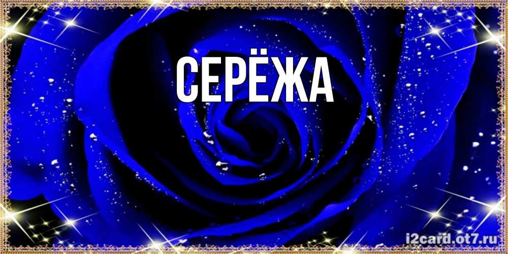 Открытка на каждый день с именем, Серёжа Главная голубые цветы в росе Прикольная открытка с пожеланием онлайн скачать бесплатно 