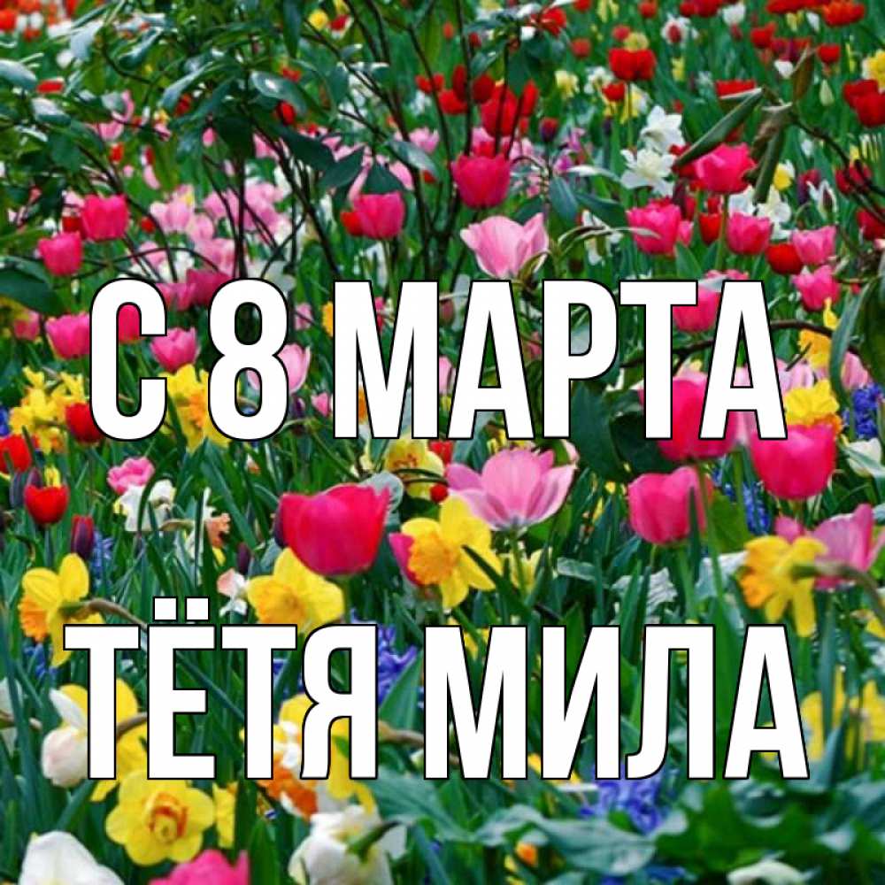 Открытка на каждый день с именем, Тётя-Мила С 8 МАРТА с международным женским днем поздравления для женщины Прикольная открытка с пожеланием онлайн скачать бесплатно 