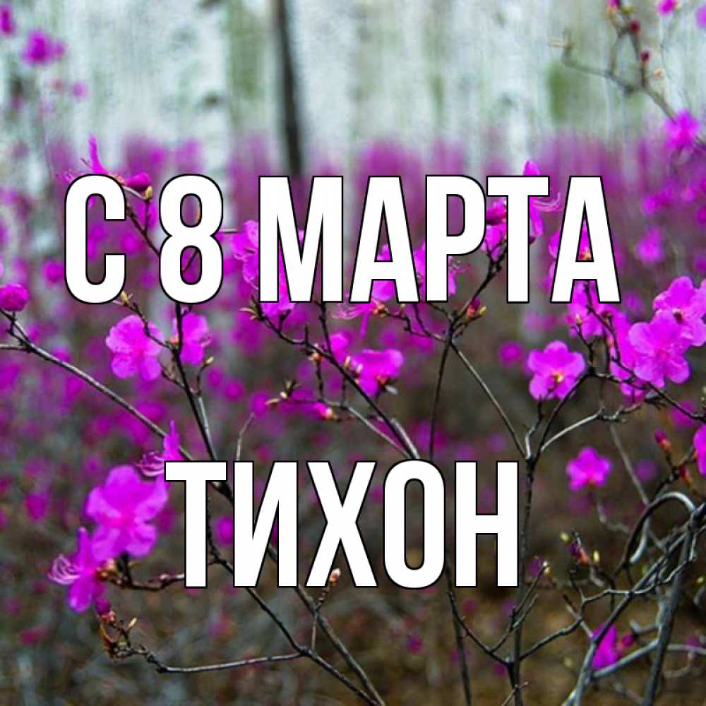 Открытка на каждый день с именем, Тихон С 8 МАРТА дикие цветы Прикольная открытка с пожеланием онлайн скачать бесплатно 