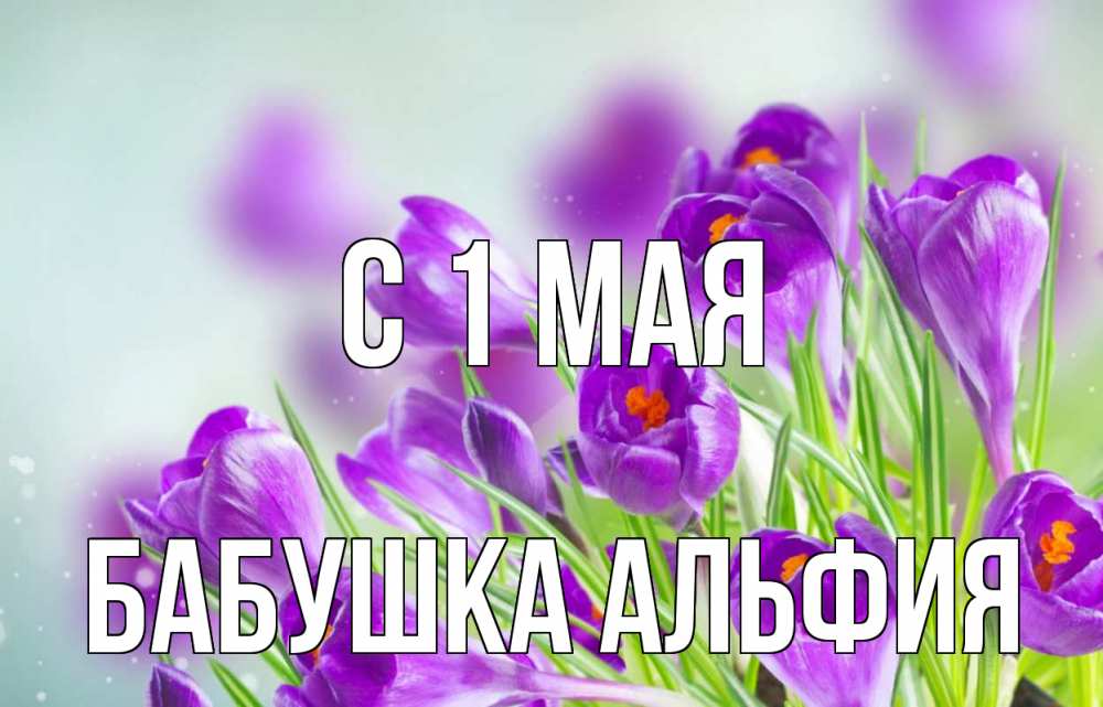 Открытка на каждый день с именем, Бабушка-Альфия С 1 мая 1 мая Прикольная открытка с пожеланием онлайн скачать бесплатно 
