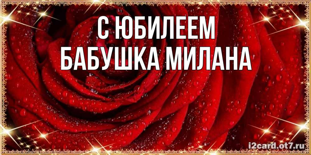 Открытка на каждый день с именем, Бабушка-Милана С юбилеем роса на розе блестящая в лучах солнца Прикольная открытка с пожеланием онлайн скачать бесплатно 