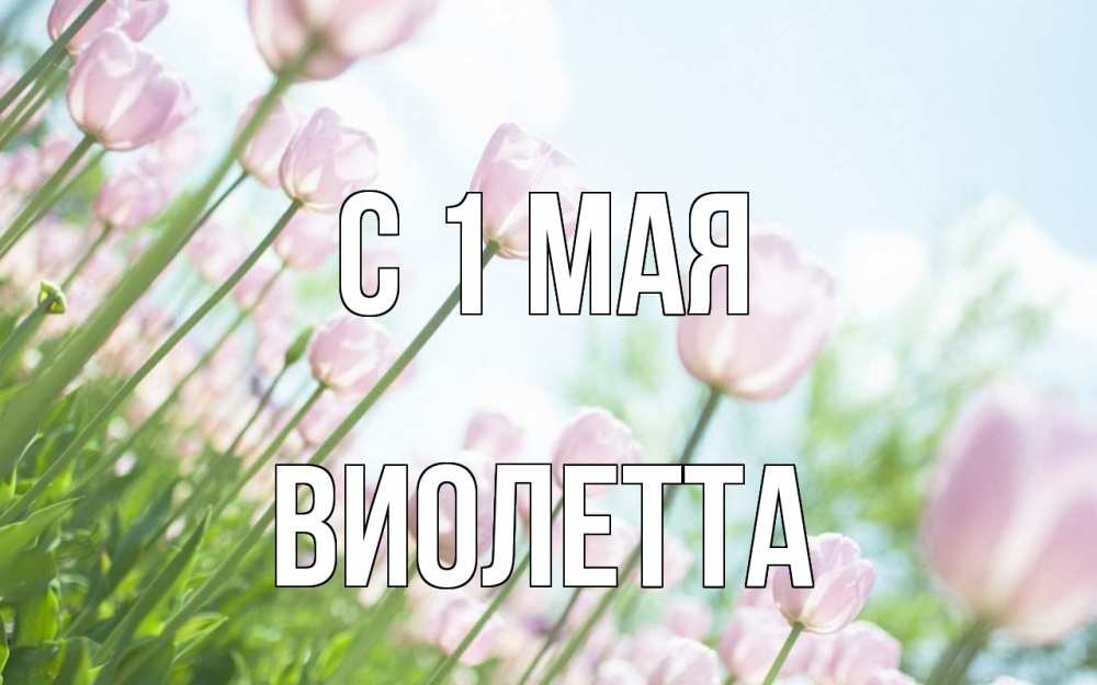 Открытка на каждый день с именем, Виолетта С 1 мая С 1 мая Прикольная открытка с пожеланием онлайн скачать бесплатно 