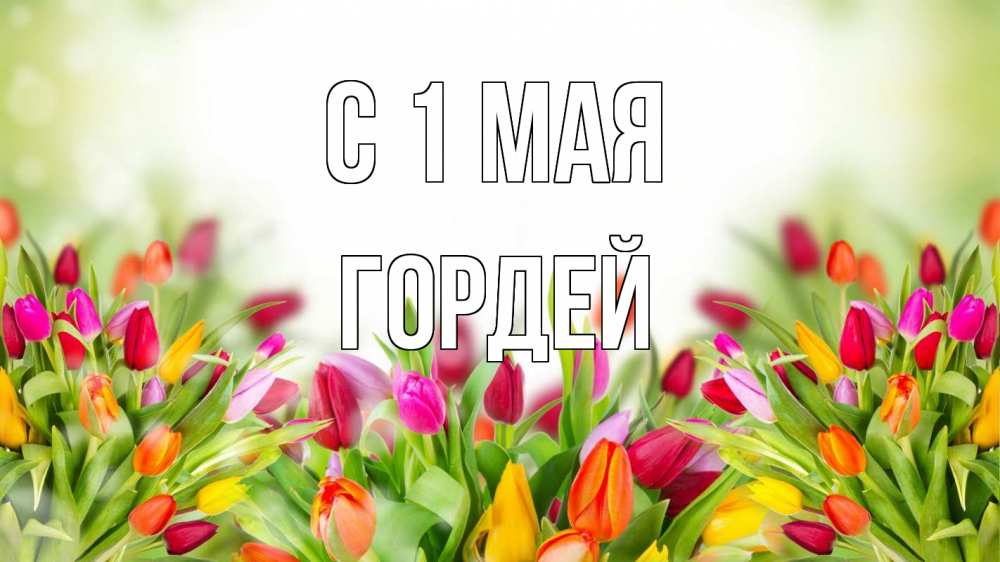 Открытка на каждый день с именем, Гордей С 1 мая С 1 мая Прикольная открытка с пожеланием онлайн скачать бесплатно 