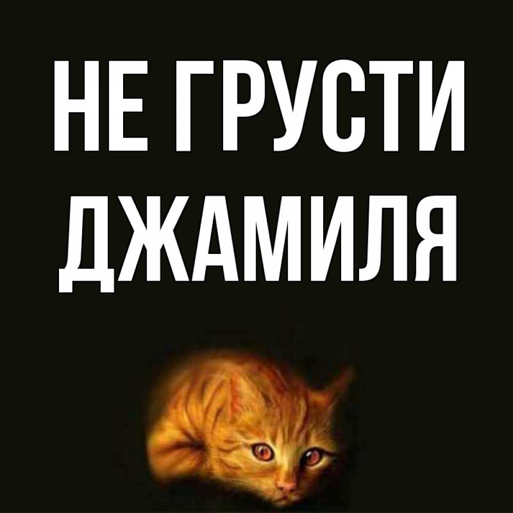 Открытка на каждый день с именем, Джамиля Не грусти лежащий кот в темноте Прикольная открытка с пожеланием онлайн скачать бесплатно 