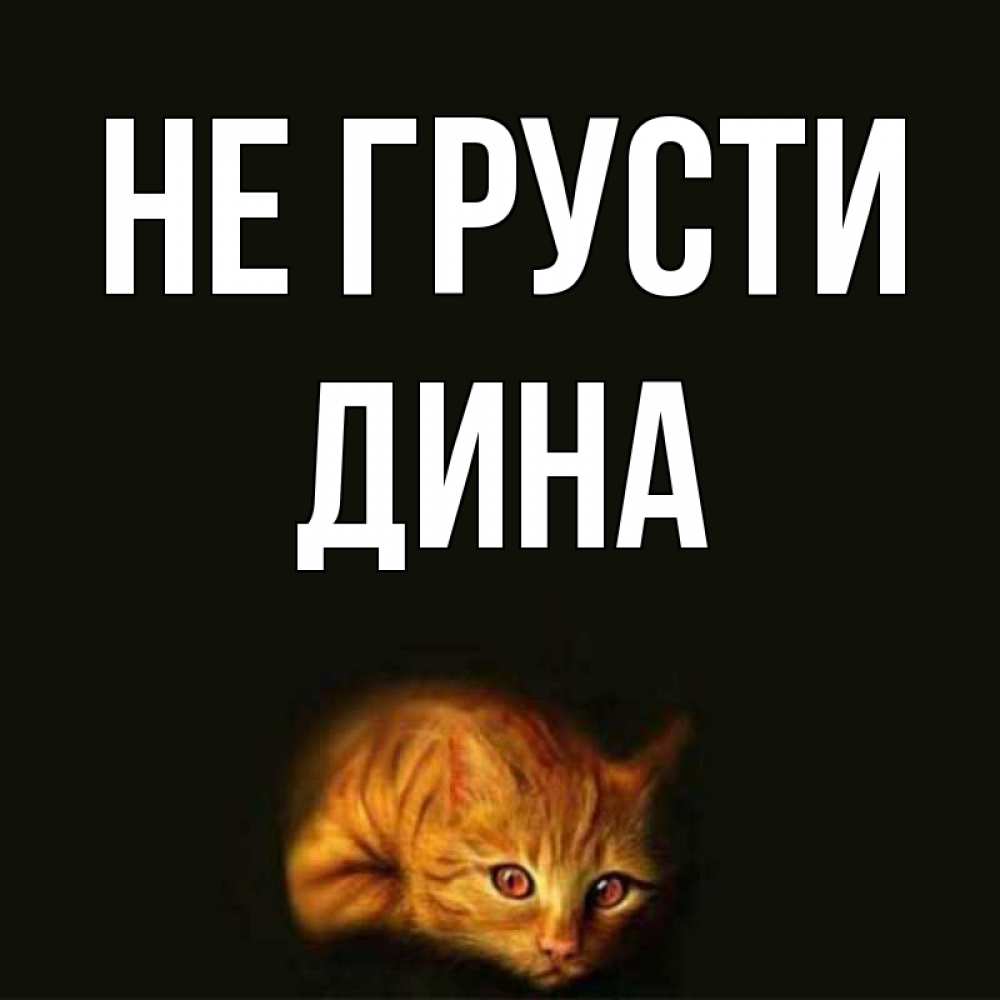 Открытка на каждый день с именем, Дина Не грусти лежащий кот в темноте Прикольная открытка с пожеланием онлайн скачать бесплатно 