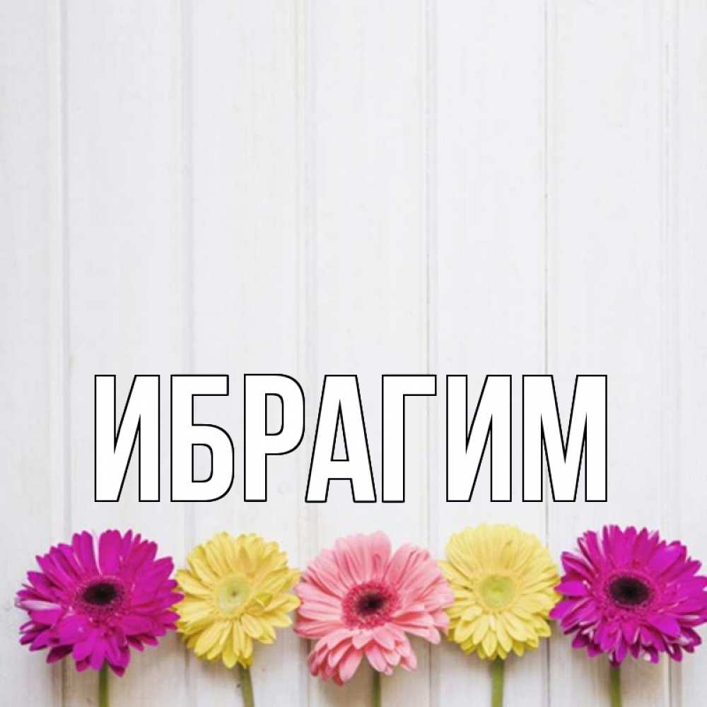 Открытка на каждый день с именем, Ибрагим Главная женщинам 1 Прикольная открытка с пожеланием онлайн скачать бесплатно 