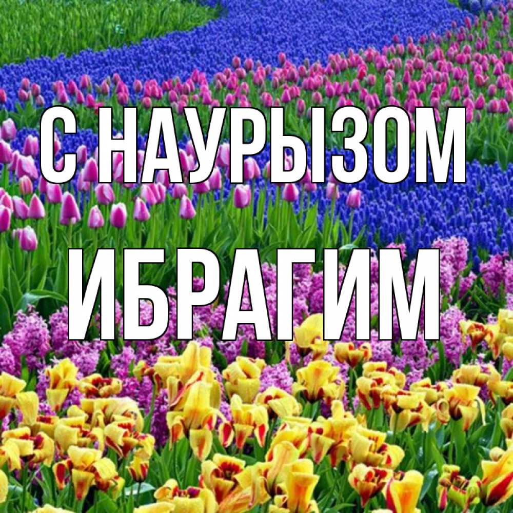 Открытка на каждый день с именем, Ибрагим С наурызом цветы Прикольная открытка с пожеланием онлайн скачать бесплатно 