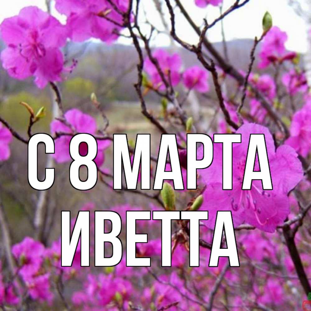Открытка на каждый день с именем, Иветта С 8 МАРТА международный женский день Прикольная открытка с пожеланием онлайн скачать бесплатно 