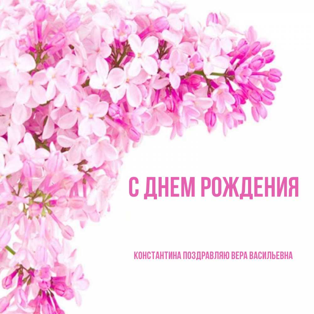 Открытка на каждый день с именем, КОНСТАНТИНА-Поздравляю-ВЕРА-ВАСИЛЬЕВНА С днем рождения Сирень на белом фоне Прикольная открытка с пожеланием онлайн скачать бесплатно 