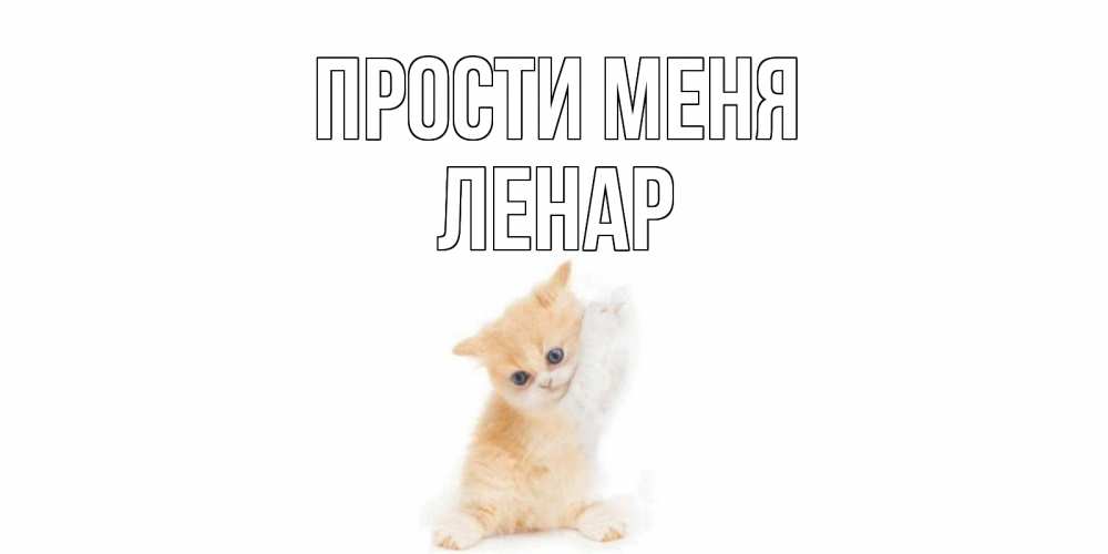Открытка на каждый день с именем, Ленар Прости меня кот Прикольная открытка с пожеланием онлайн скачать бесплатно 