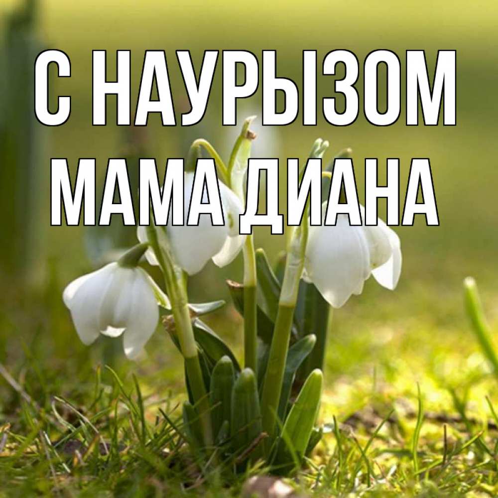 Открытка на каждый день с именем, Мама-Диана С наурызом ранние цветы 2 Прикольная открытка с пожеланием онлайн скачать бесплатно 