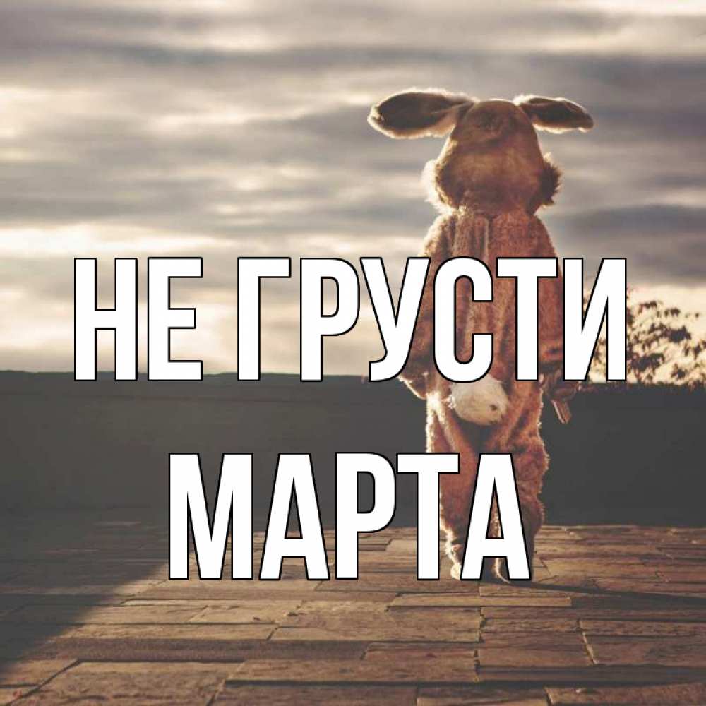 Открытка на каждый день с именем, Марта Не грусти со спины Прикольная открытка с пожеланием онлайн скачать бесплатно 