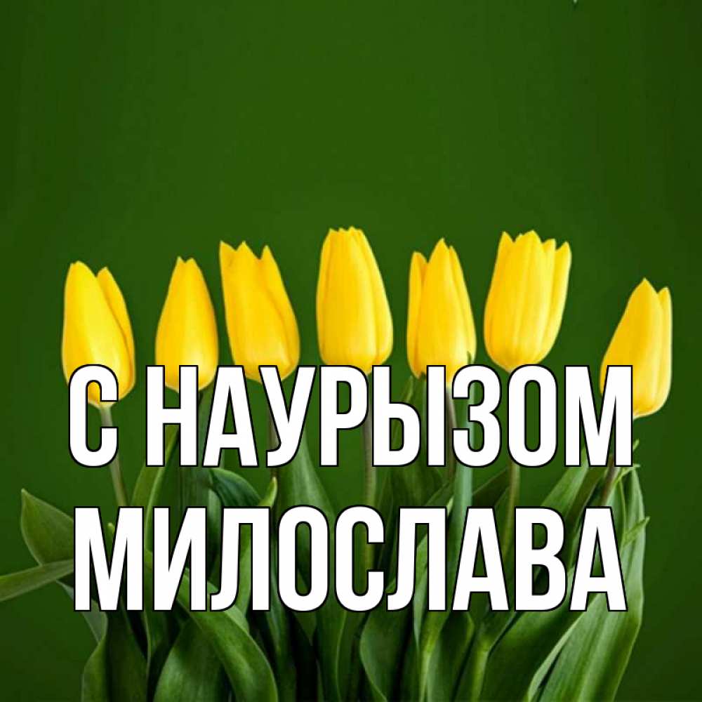 Открытка на каждый день с именем, Милослава С наурызом желтого цвета 3 Прикольная открытка с пожеланием онлайн скачать бесплатно 