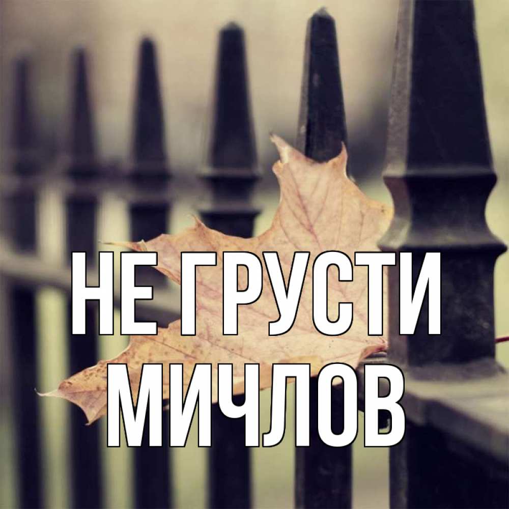 Открытка на каждый день с именем, Мичлов Не грусти лист клена Прикольная открытка с пожеланием онлайн скачать бесплатно 