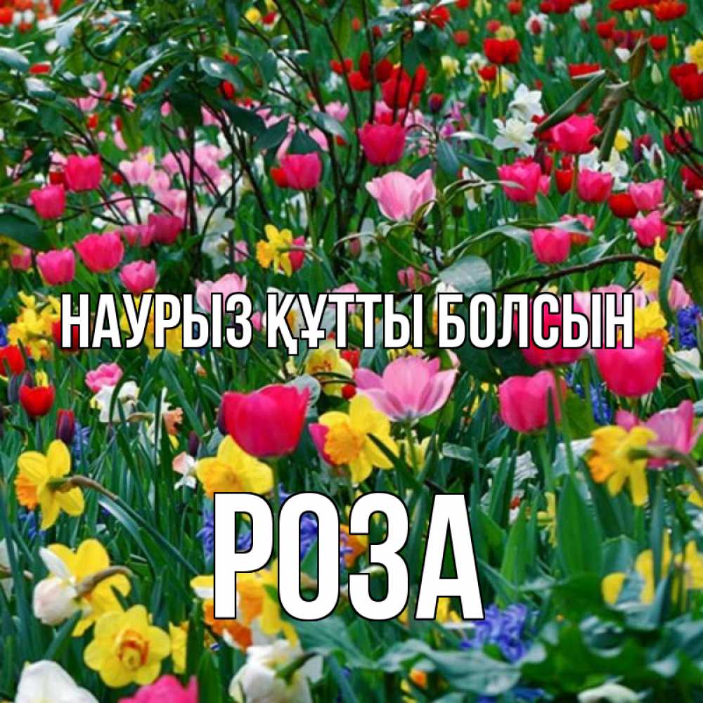 Открытка на каждый день с именем, Роза Наурыз құтты болсын с наурызом поздравления для женщины Прикольная открытка с пожеланием онлайн скачать бесплатно 