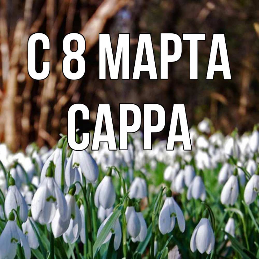 Открытка на каждый день с именем, Сарра С 8 марта с подснежниками 1 Прикольная открытка с пожеланием онлайн скачать бесплатно 