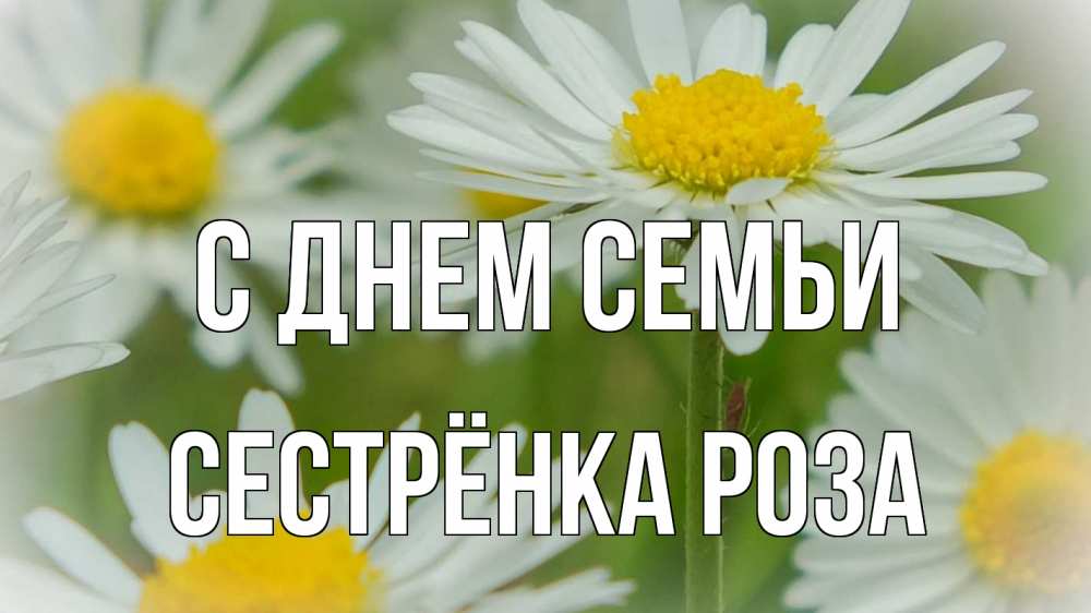 Открытка на каждый день с именем, Сестрёнка-Роза С днем семьи с днем семьи  1 Прикольная открытка с пожеланием онлайн скачать бесплатно 