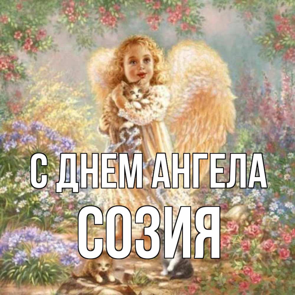 Открытка на каждый день с именем, Созия С днем ангела держит котенка Прикольная открытка с пожеланием онлайн скачать бесплатно 
