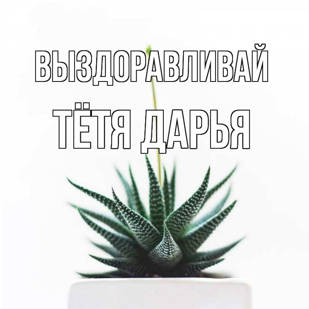 Открытка на каждый день с именем, Тётя-Дарья Выздоравливай короче это непонятная колючка Прикольная открытка с пожеланием онлайн скачать бесплатно 