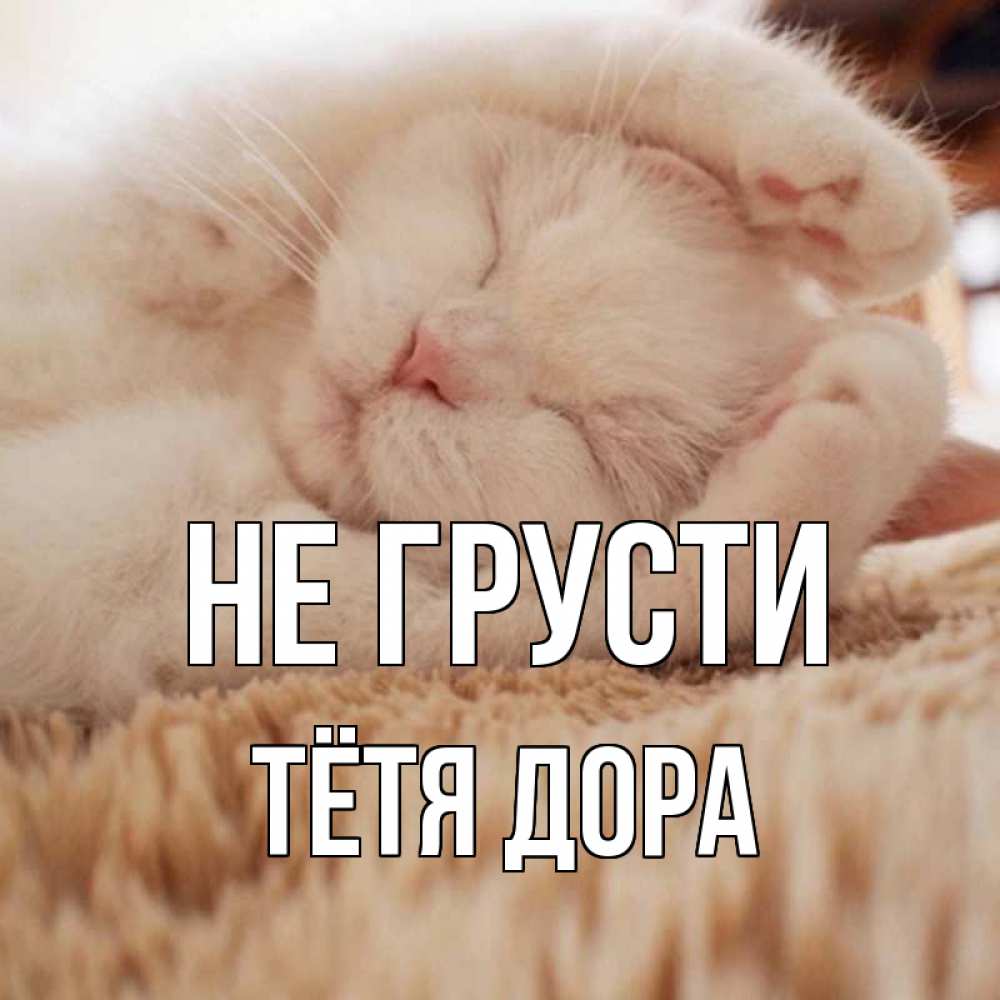 Открытка на каждый день с именем, Тётя-Дора Не грусти белый кот Прикольная открытка с пожеланием онлайн скачать бесплатно 