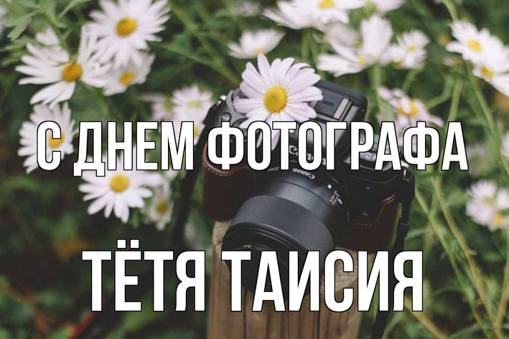Открытка на каждый день с именем, Тётя-Таисия С днем фотографа с днем фотографа Прикольная открытка с пожеланием онлайн скачать бесплатно 